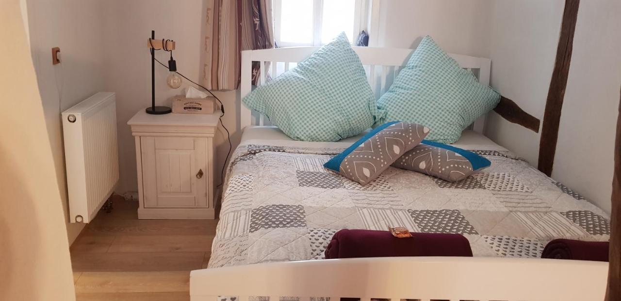 Zauberhafte Wohnung In Der Naehe Von Heidelberg, Top Lage ヒルシュホルン エクステリア 写真