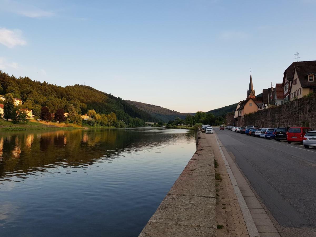 Zauberhafte Wohnung In Der Naehe Von Heidelberg, Top Lage ヒルシュホルン エクステリア 写真