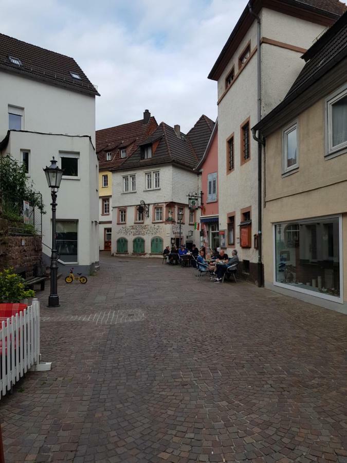 Zauberhafte Wohnung In Der Naehe Von Heidelberg, Top Lage ヒルシュホルン エクステリア 写真