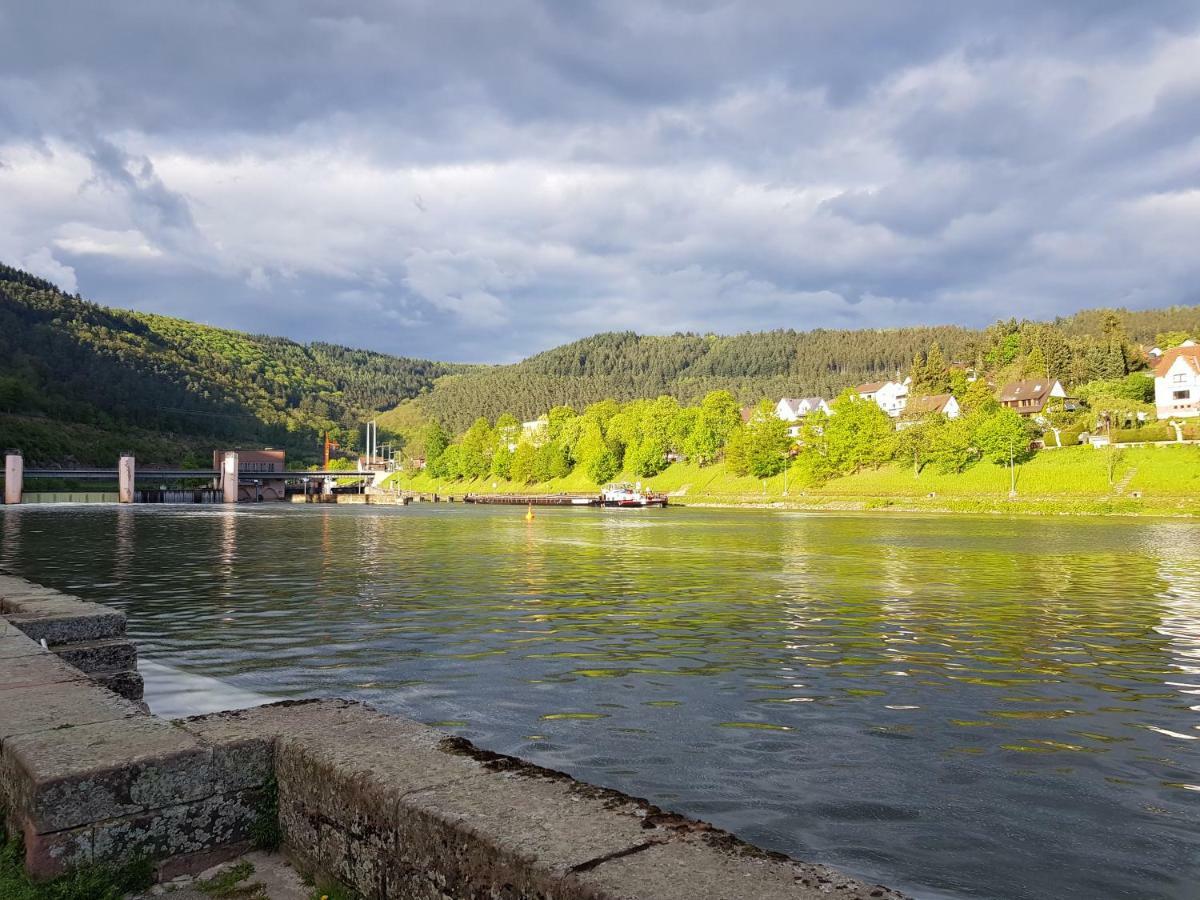 Zauberhafte Wohnung In Der Naehe Von Heidelberg, Top Lage ヒルシュホルン エクステリア 写真