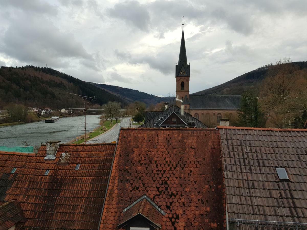 Zauberhafte Wohnung In Der Naehe Von Heidelberg, Top Lage ヒルシュホルン エクステリア 写真